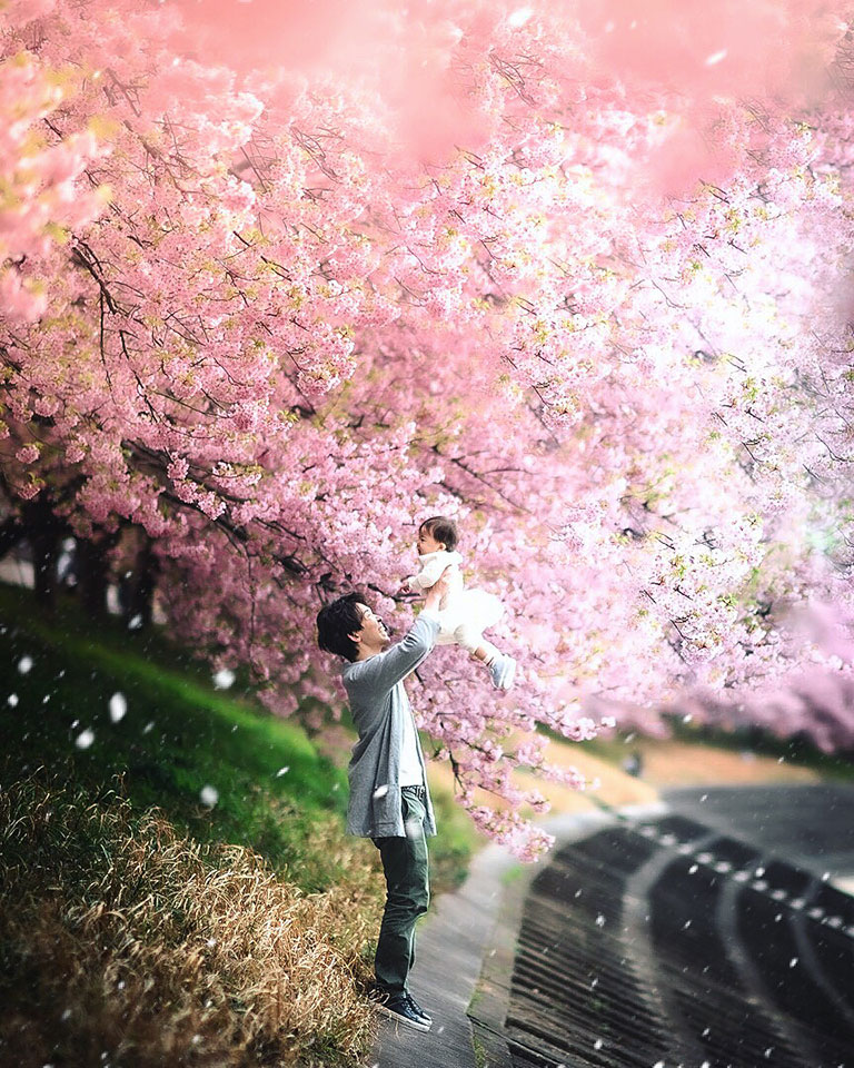 入賞　MIKI /@miki_stgmさんの作品「桜の木の下で」